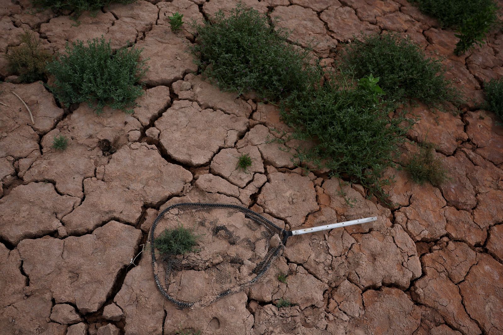 A fishing net is seen on cracked soil