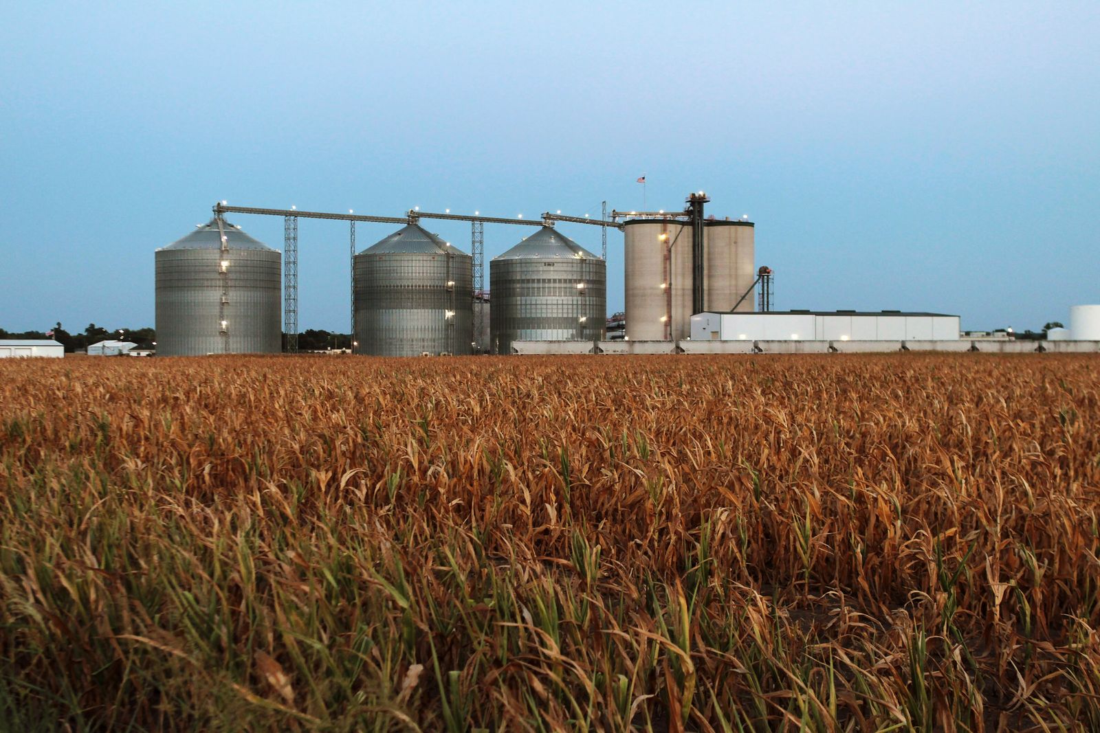 Corn is seen with an ethanol plant in the background.