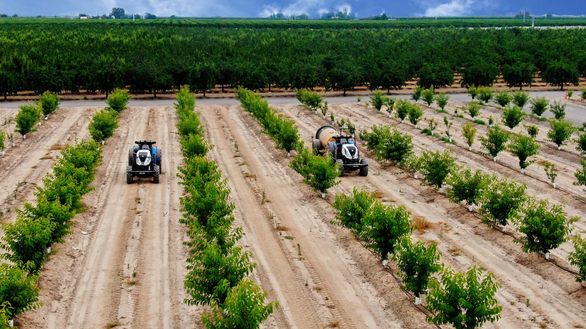 Two autonomous tractors powered by Bluewhite technology are between the rows of a cherry field.