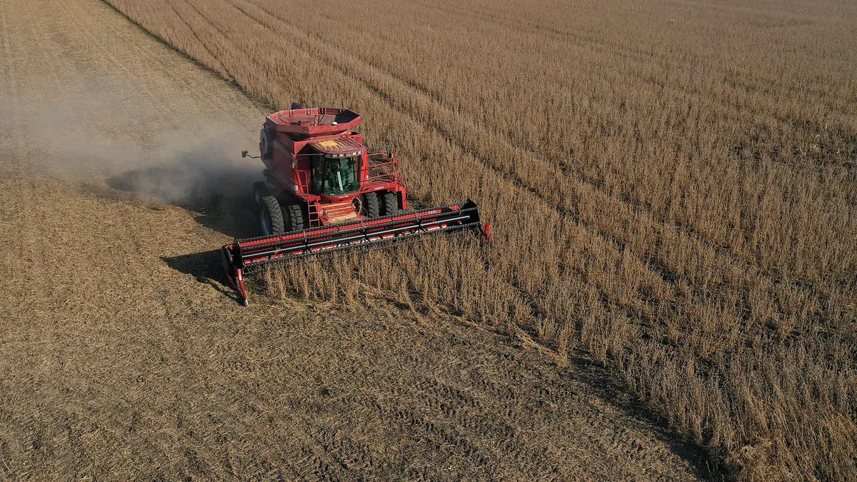 A tractor is seen harvesting a brown field of soybeans