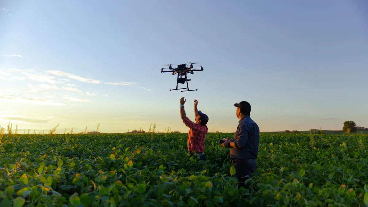 Farmers are seen releasing a drone in a soybean field