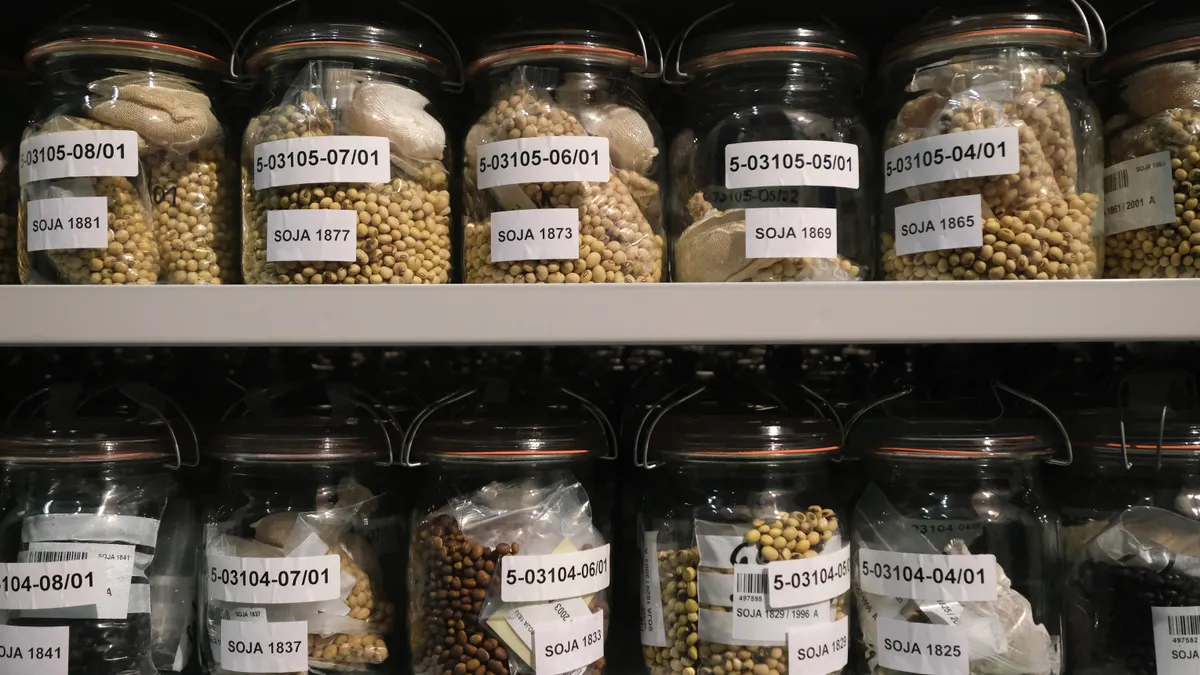 Jars of seeds are seen on shelves