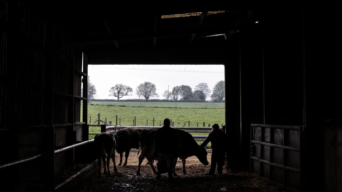 Silhouettes of a farmer and cows are seen inside a barn