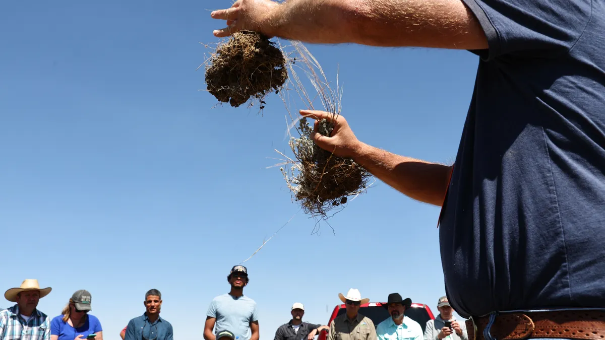 Farmer holds up two seedlings with root systems attached as a crowd looks on