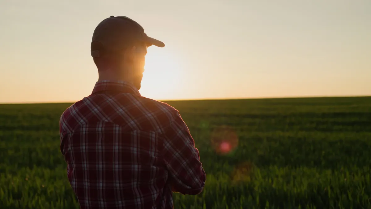 A person stands in a field with his back to the camera