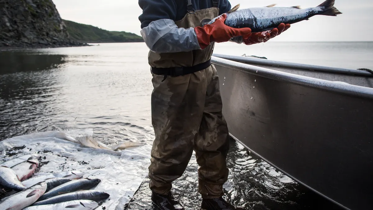 The upper half of a fisherman is seen as he washes a fish near the water.