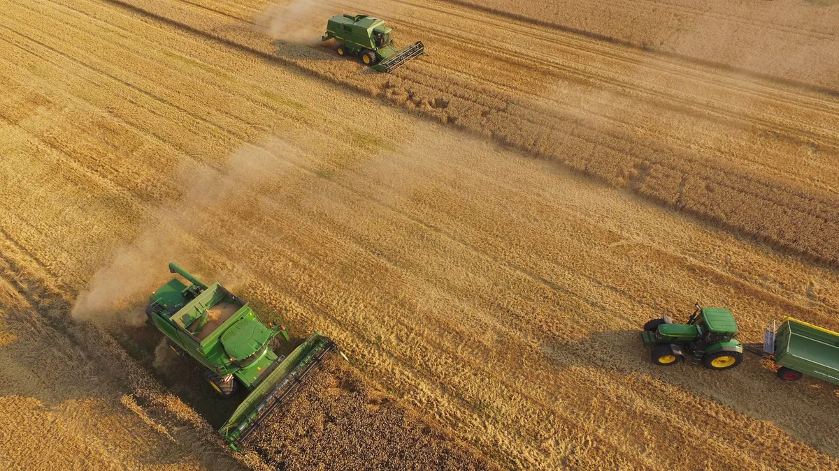 farming, wheat, agriculture