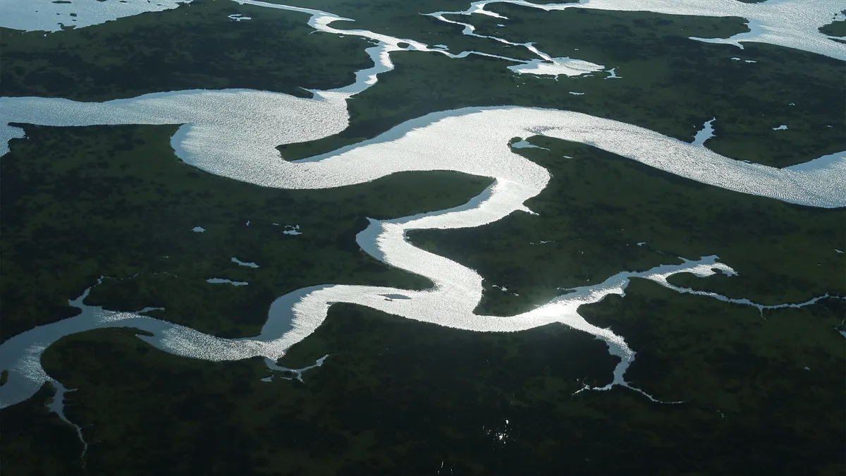 Coastal waters flow through Louisiana wetlands.