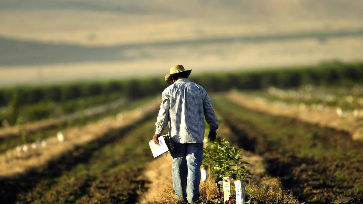 A farm worker labors in a California field.