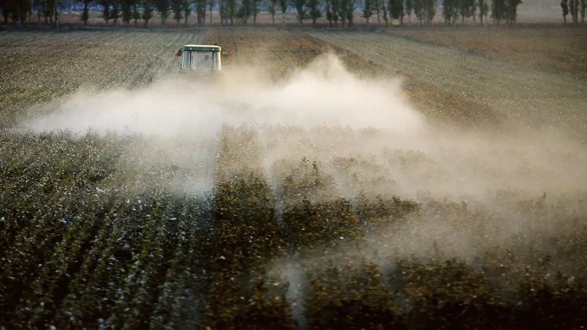 A worker is seen in a cotton field.