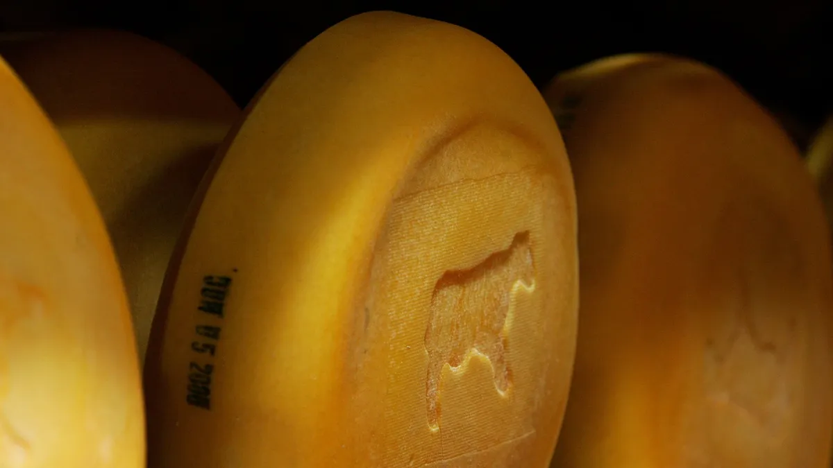 A cow logo is seen embossed in a wheel of cheese