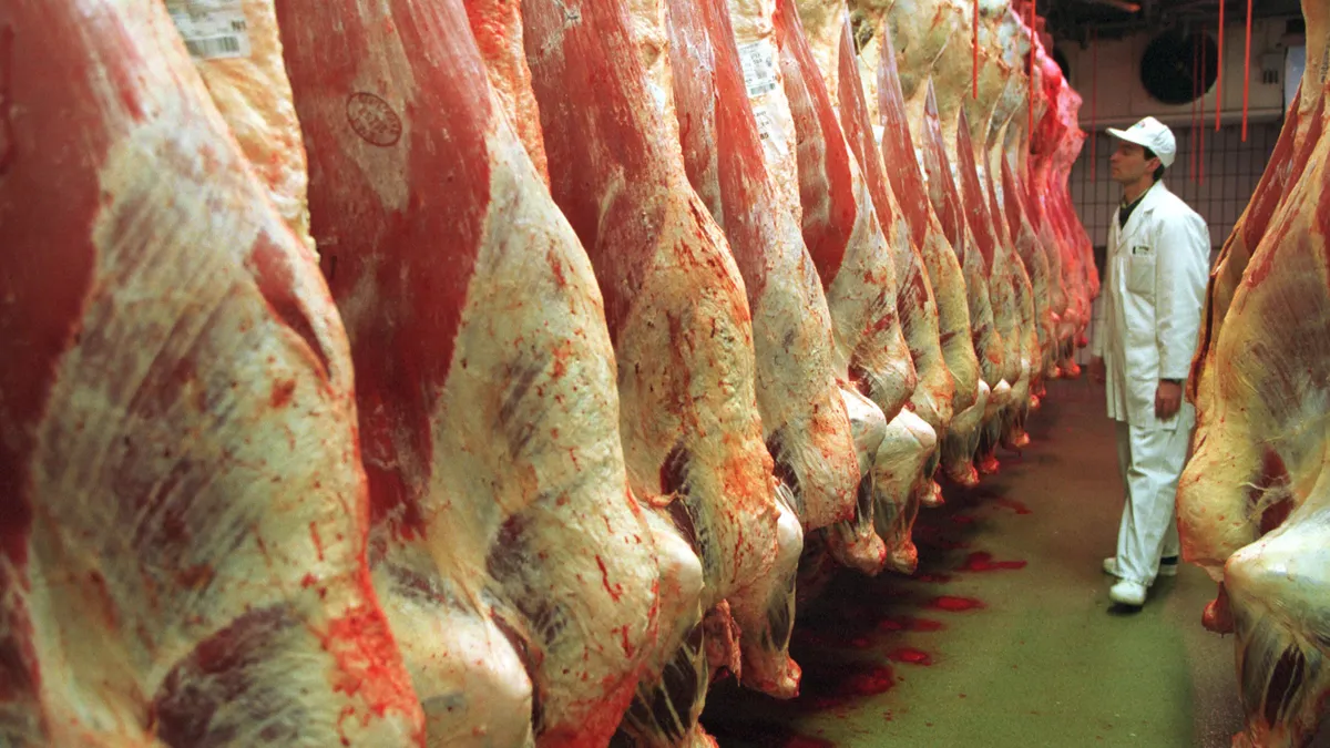 A worker checks the sides of freshly slaughtered beef.